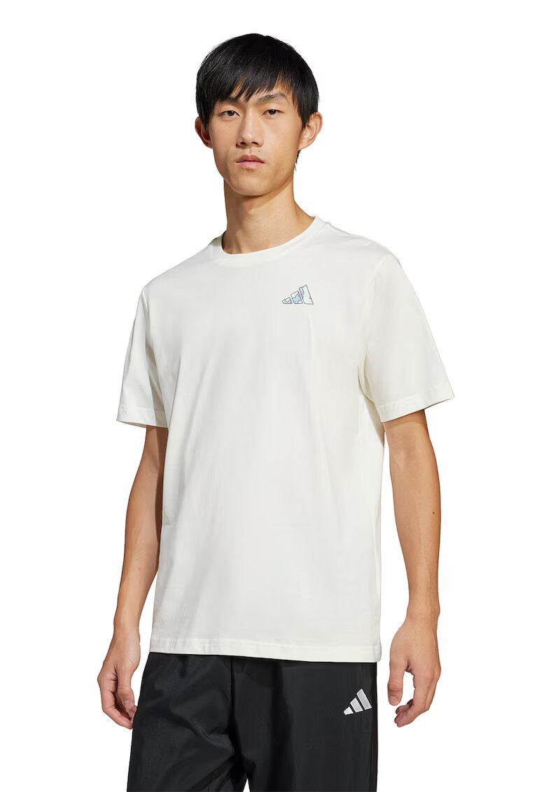 adidas Sportswear Tricou cu imprimeu logo pe partea din spate C Earth M - Albastru prafuit/Alb murdar