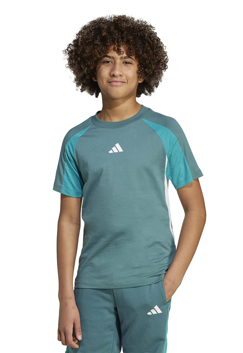 adidas Sportswear Tricou de bumbac cu maneci raglan - Verde persan