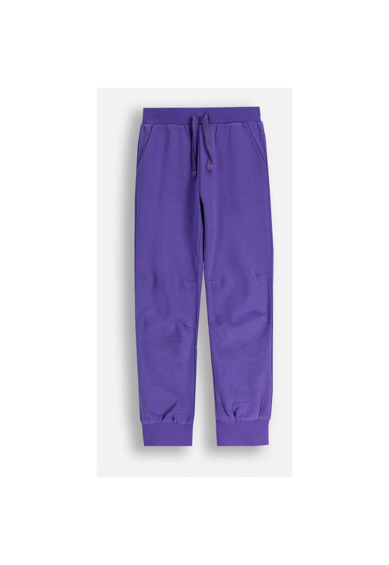 Coccodrillo Pantaloni de trening din bumbac cu model uni