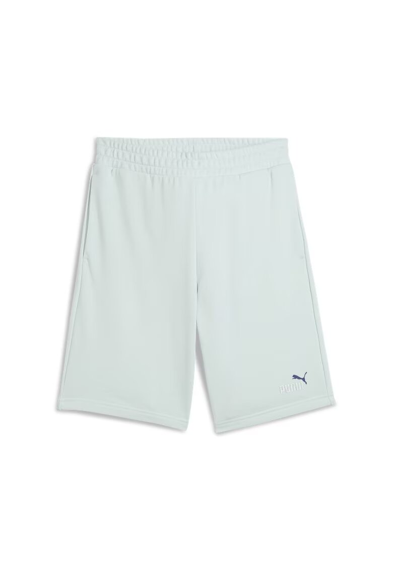 Puma Sort ESS 2 COLOR No. 1 Logo Shorts 10" TR-684715-50