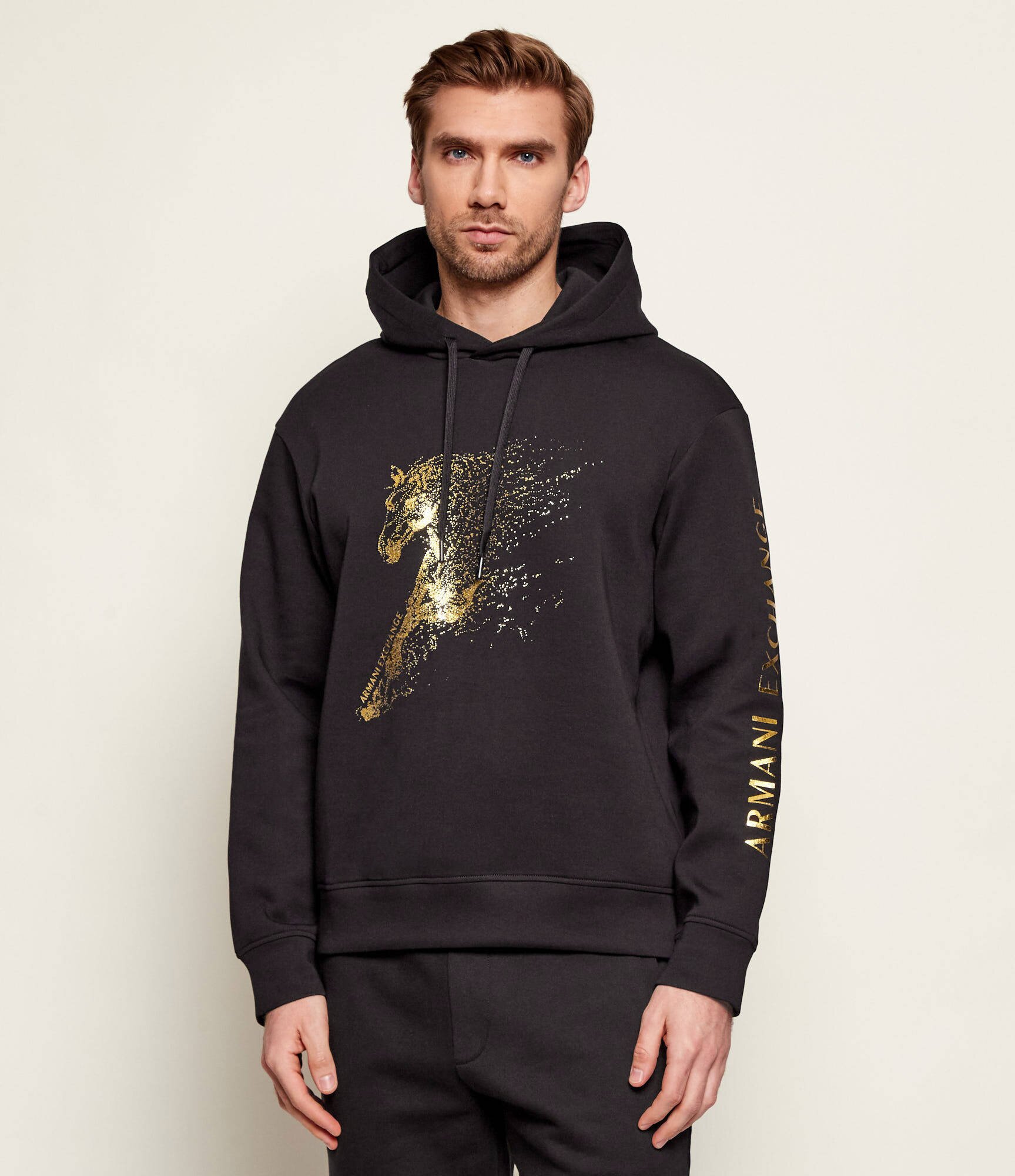 Armani Exchange Hanorac | regular fit
