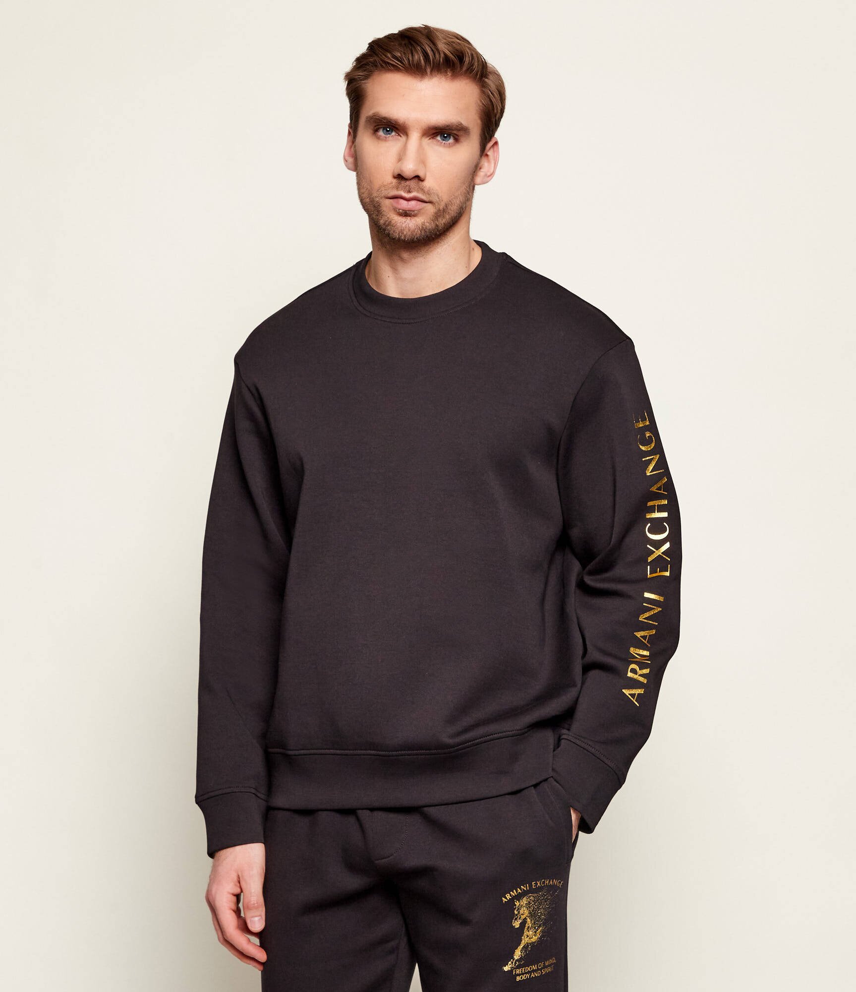 Armani Exchange Hanorac | regular fit