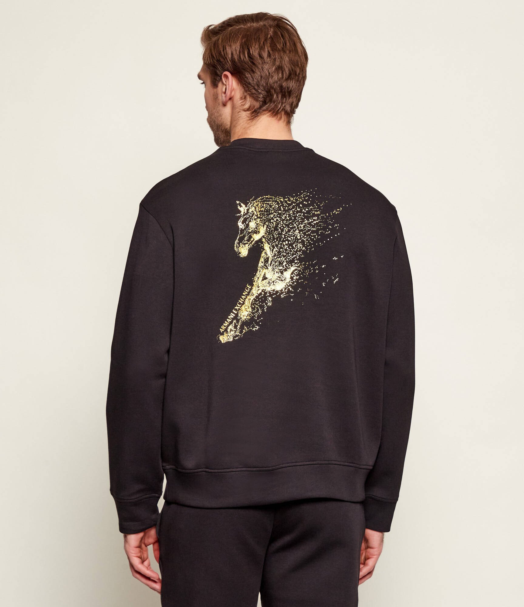 Armani Exchange Hanorac | regular fit