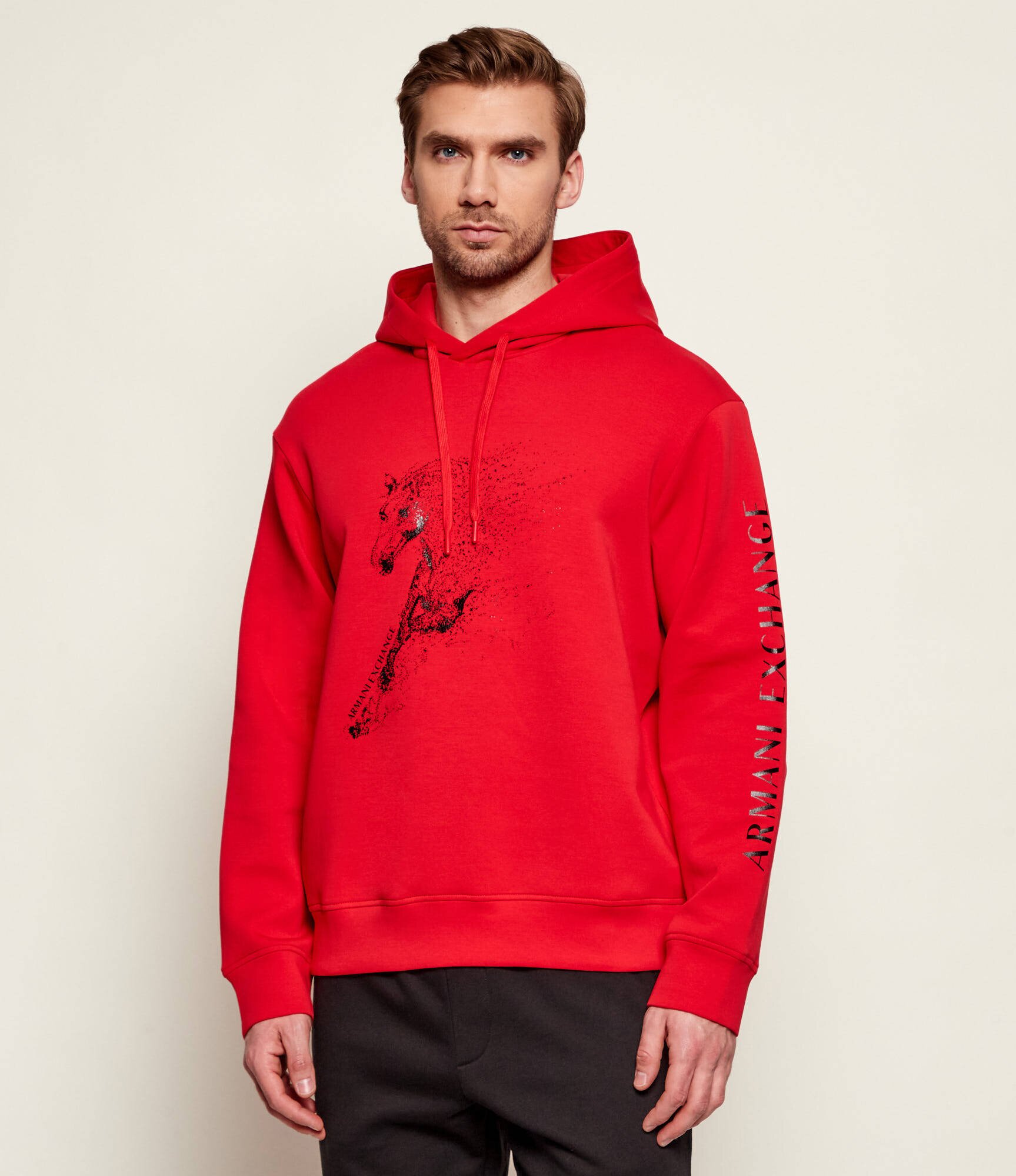 Armani Exchange Hanorac | regular fit