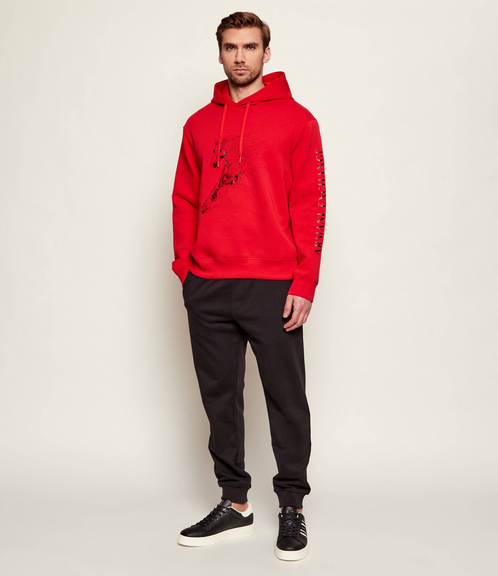 Armani Exchange Hanorac | regular fit