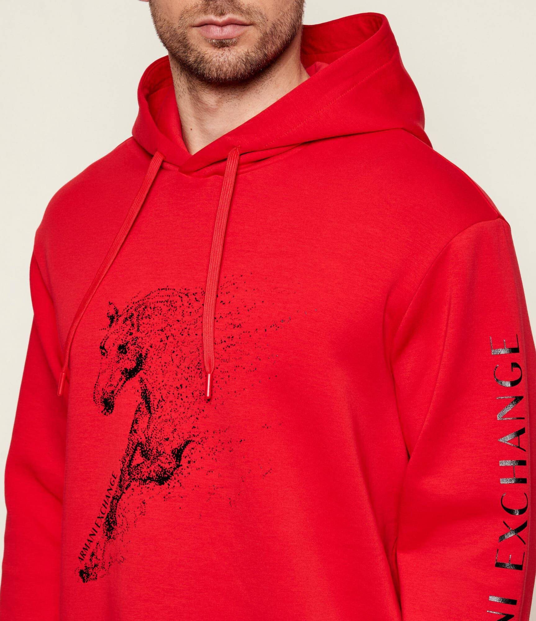 Armani Exchange Hanorac | regular fit