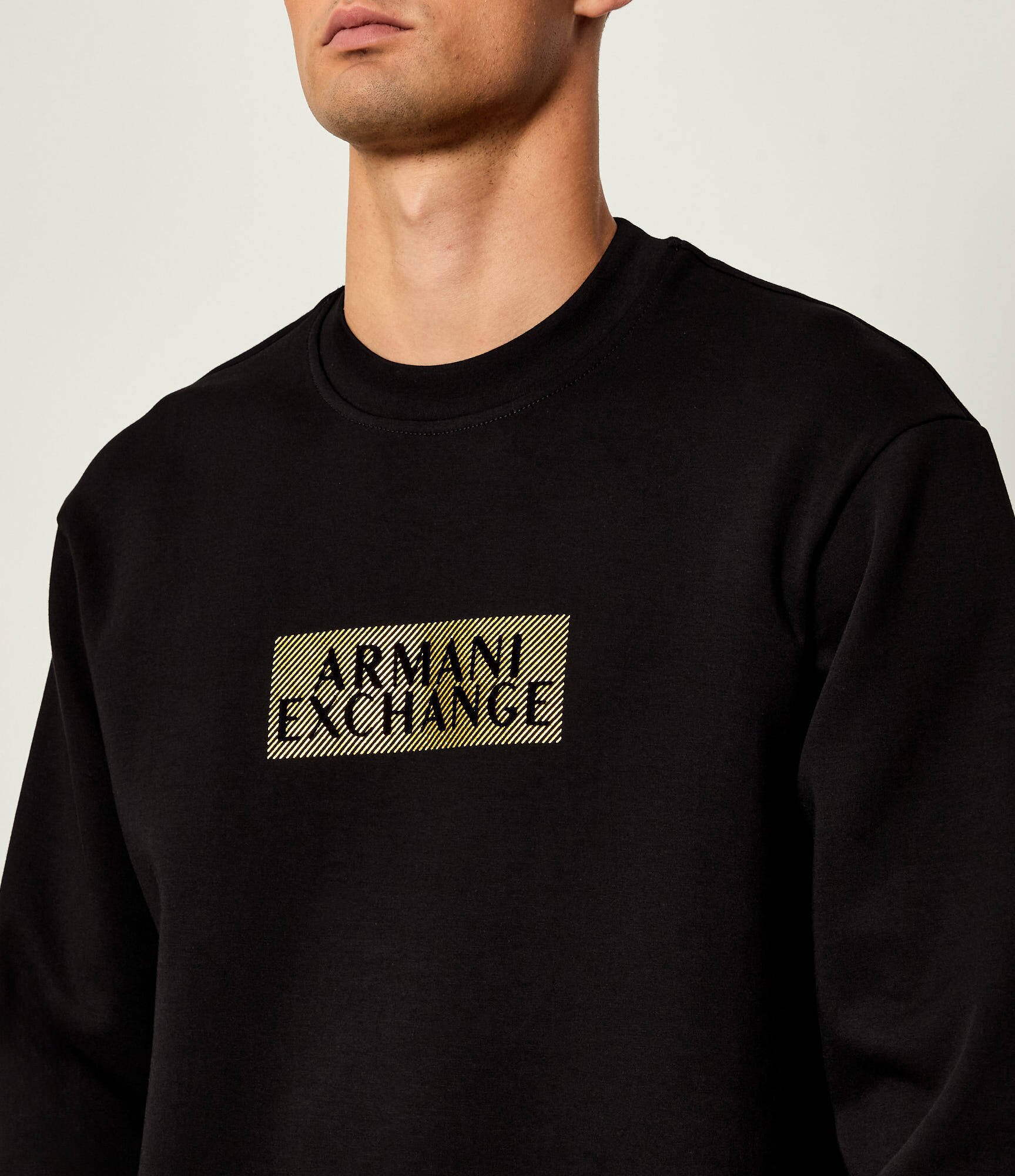 Armani Exchange Hanorac | regular fit