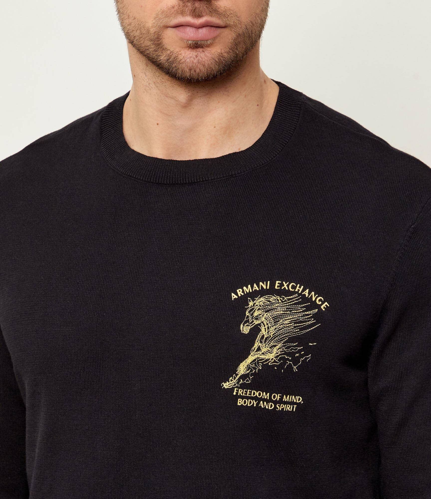 Armani Exchange Pulover | regular fit