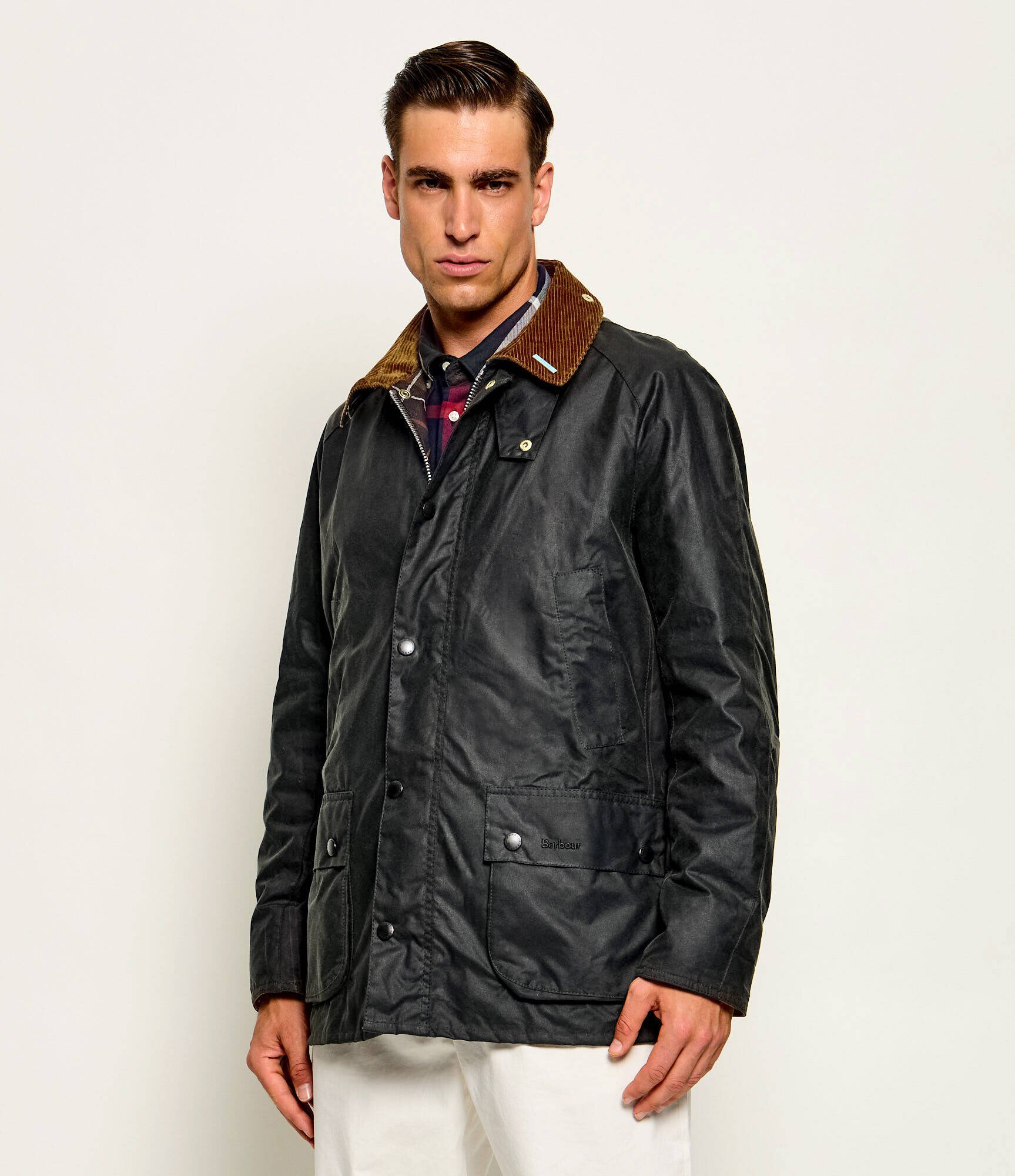 Barbour Geacă Icons Ashby | Tailored slim | catifea reiată