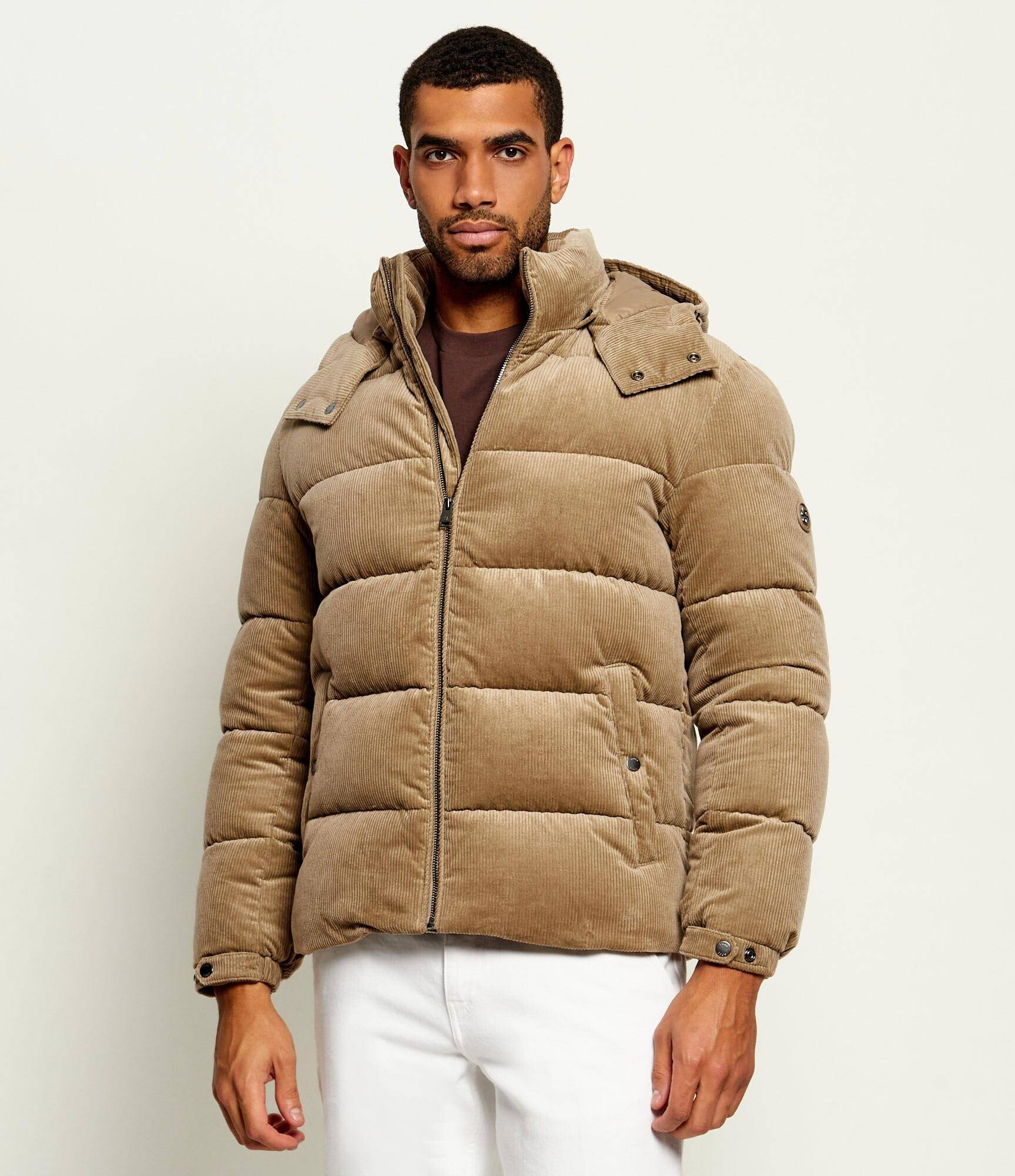 BOSS BLACK Geacă C-Claudion | regular fit | catifea reiată