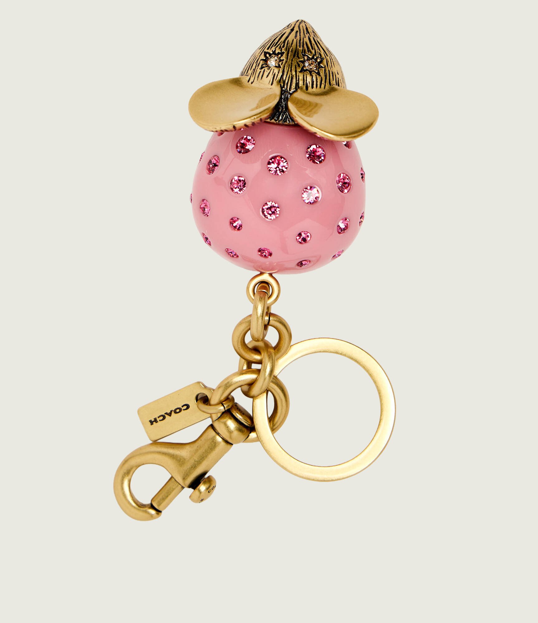 Coach Breloc MOUSE
