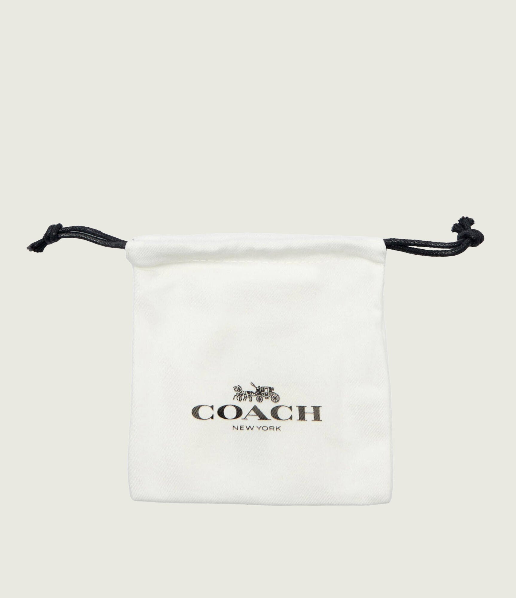 Coach Cercei Huggie
