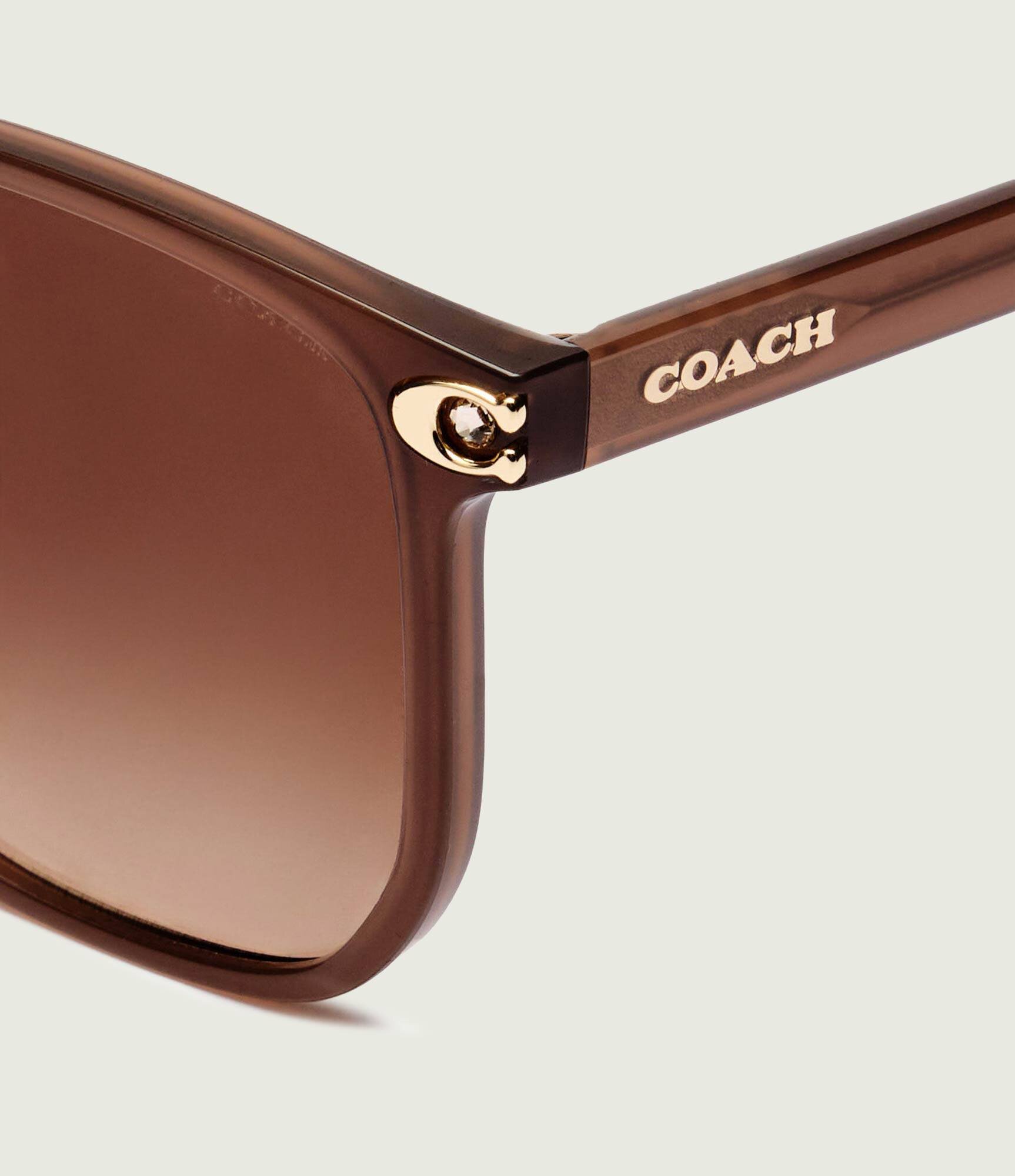 Coach Ochelari de soare HC8413BD