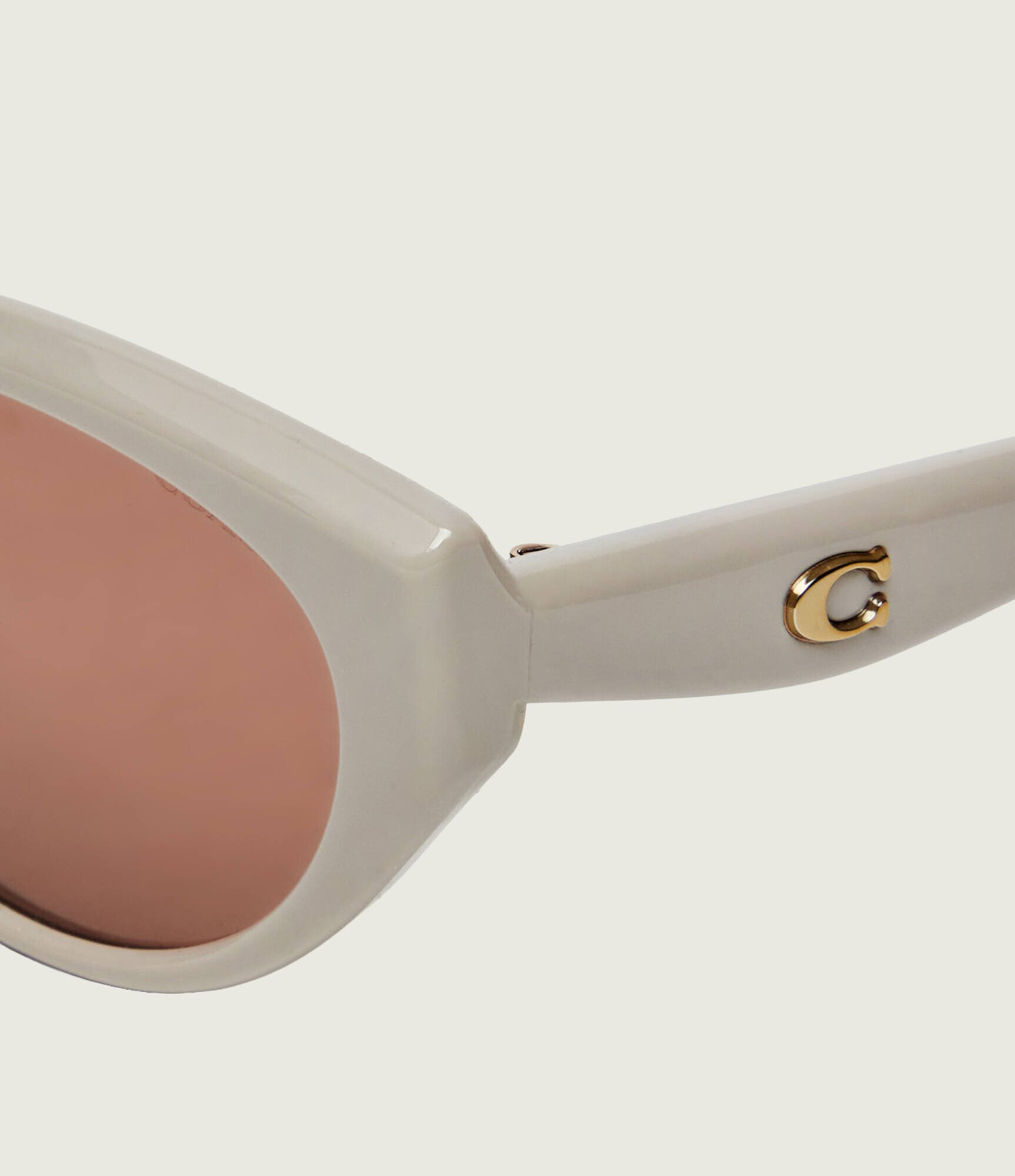 Coach Ochelari de soare Injected HC8456D