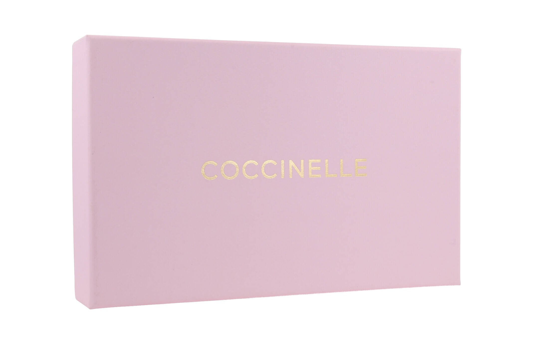 Coccinelle De piele breloc C-ME