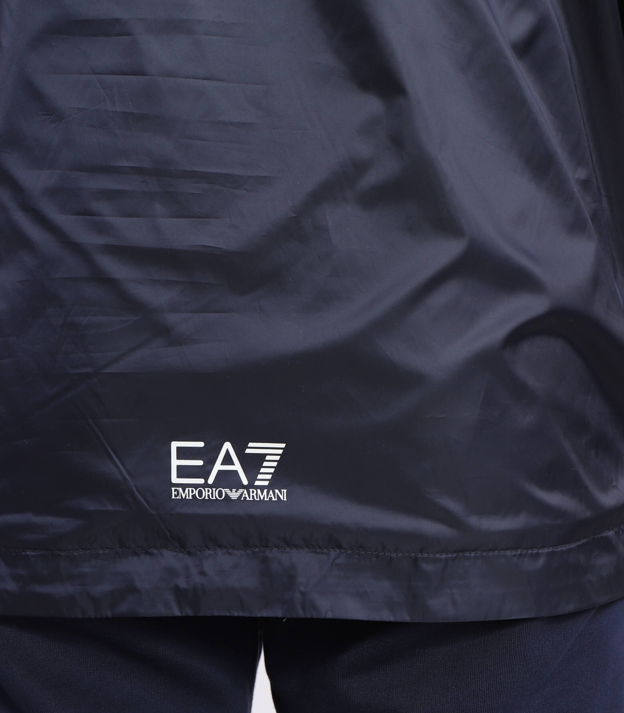 EA7 Geacă | Regular Fit