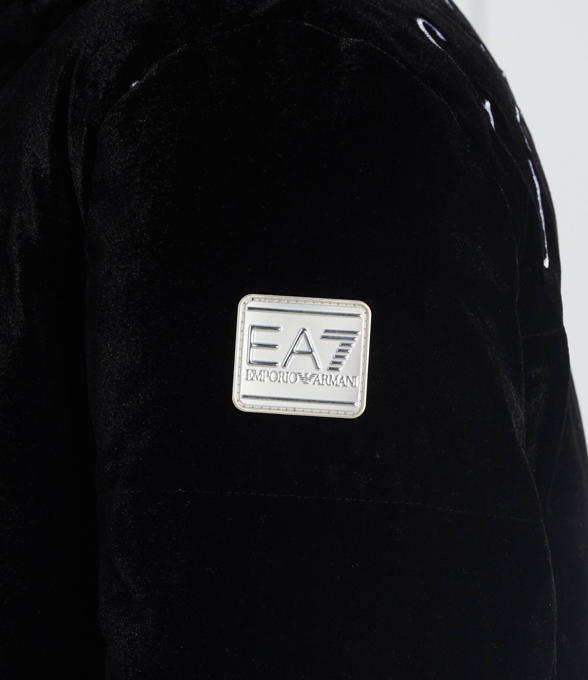 EA7 Geacă | Regular Fit