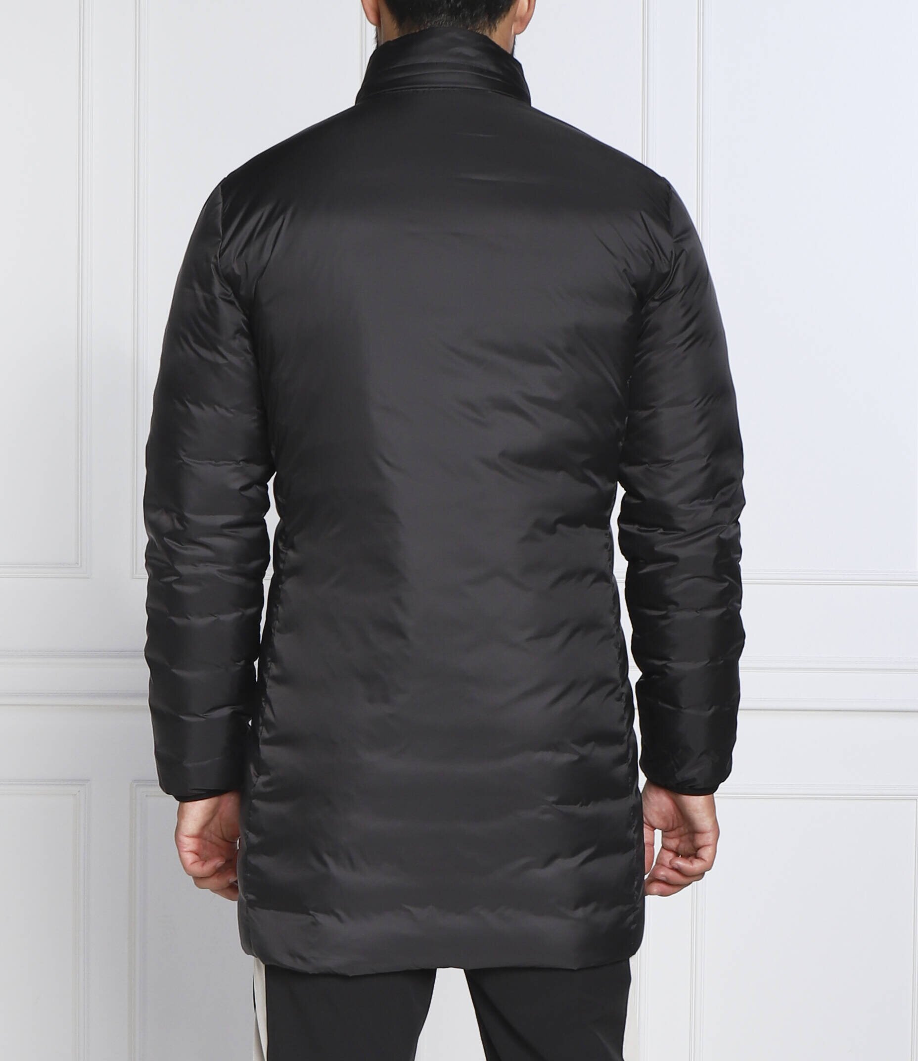 EA7 Geacă | Regular Fit
