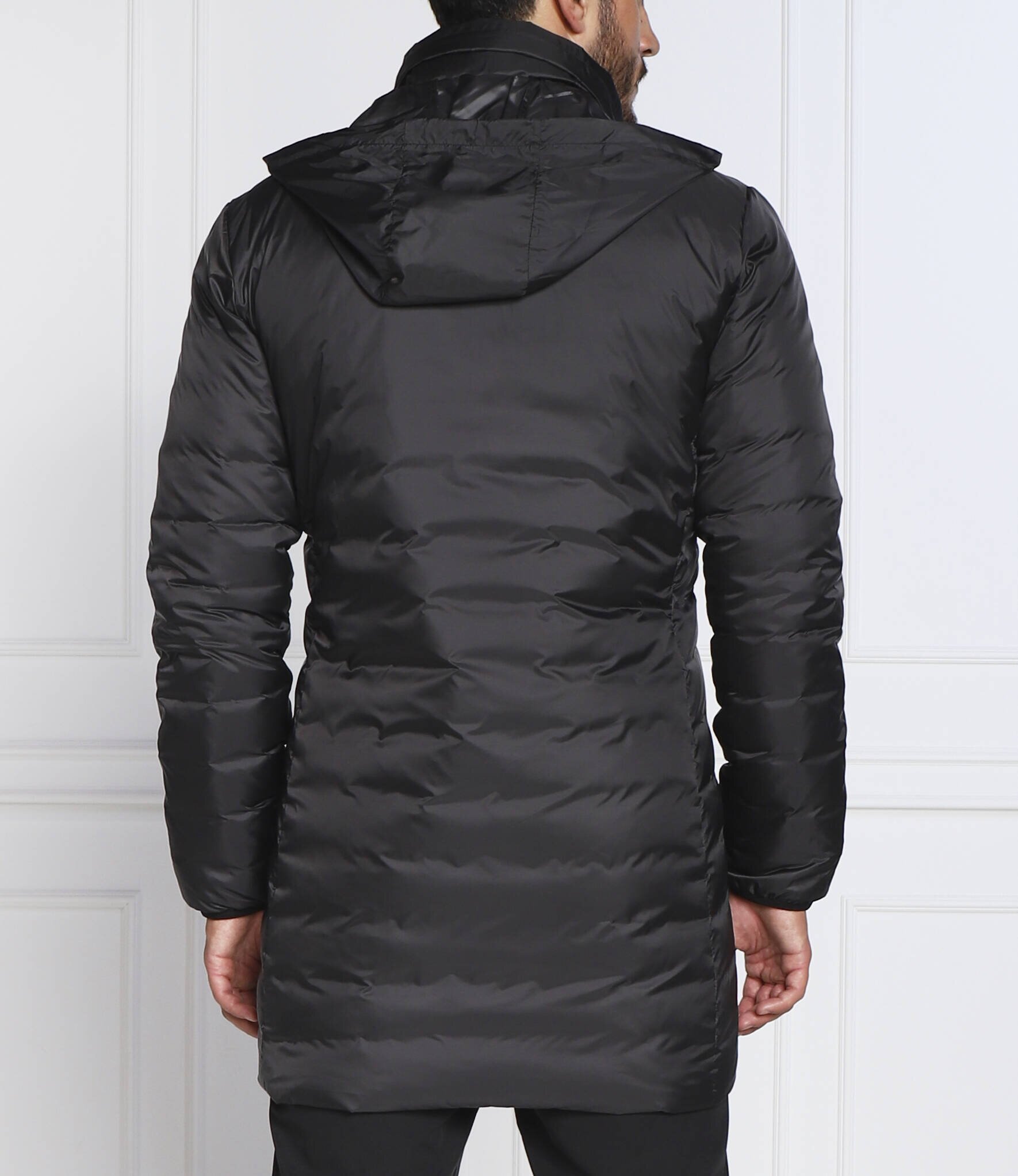EA7 Geacă | Regular Fit