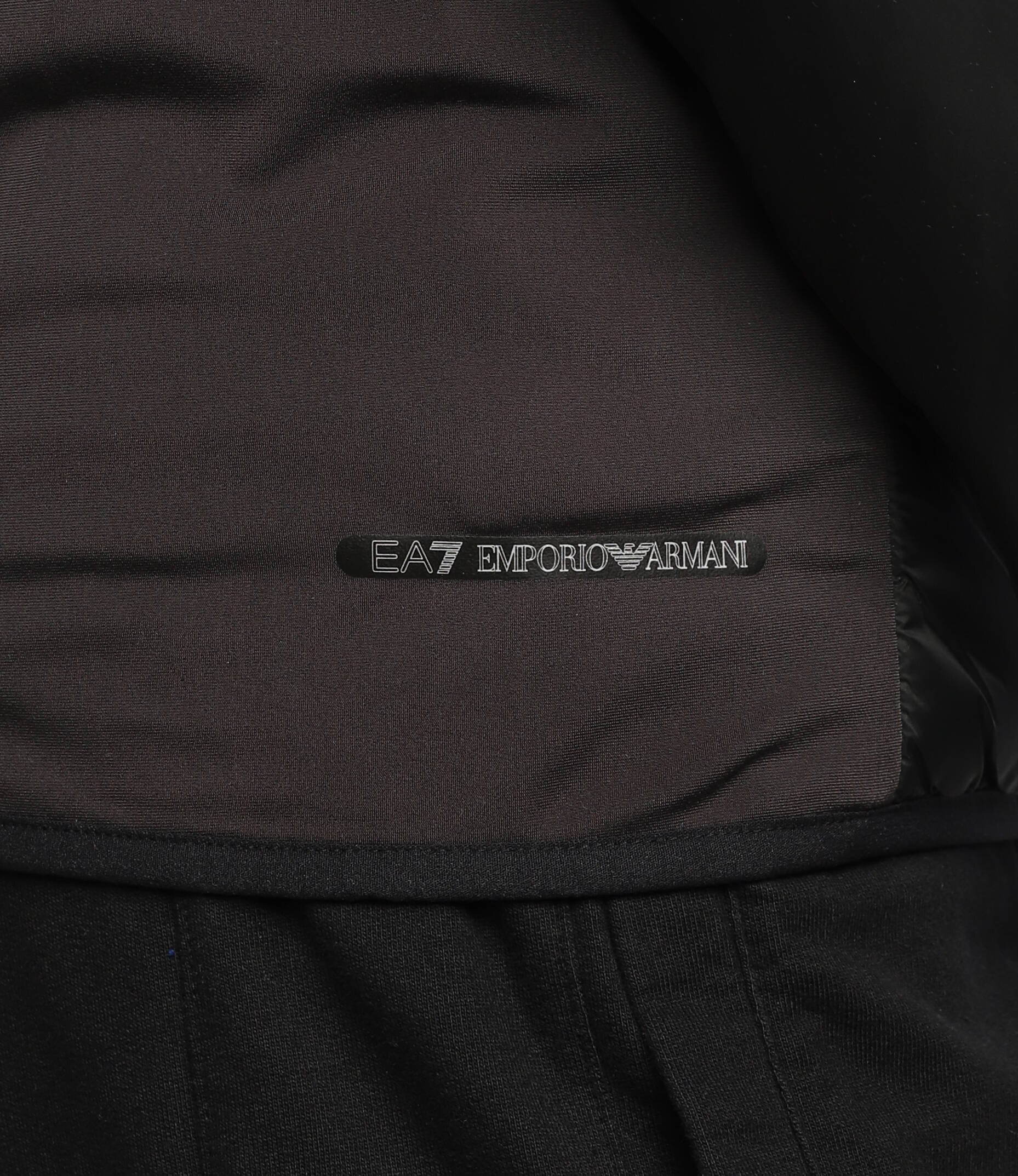 EA7 Geacă | Regular Fit