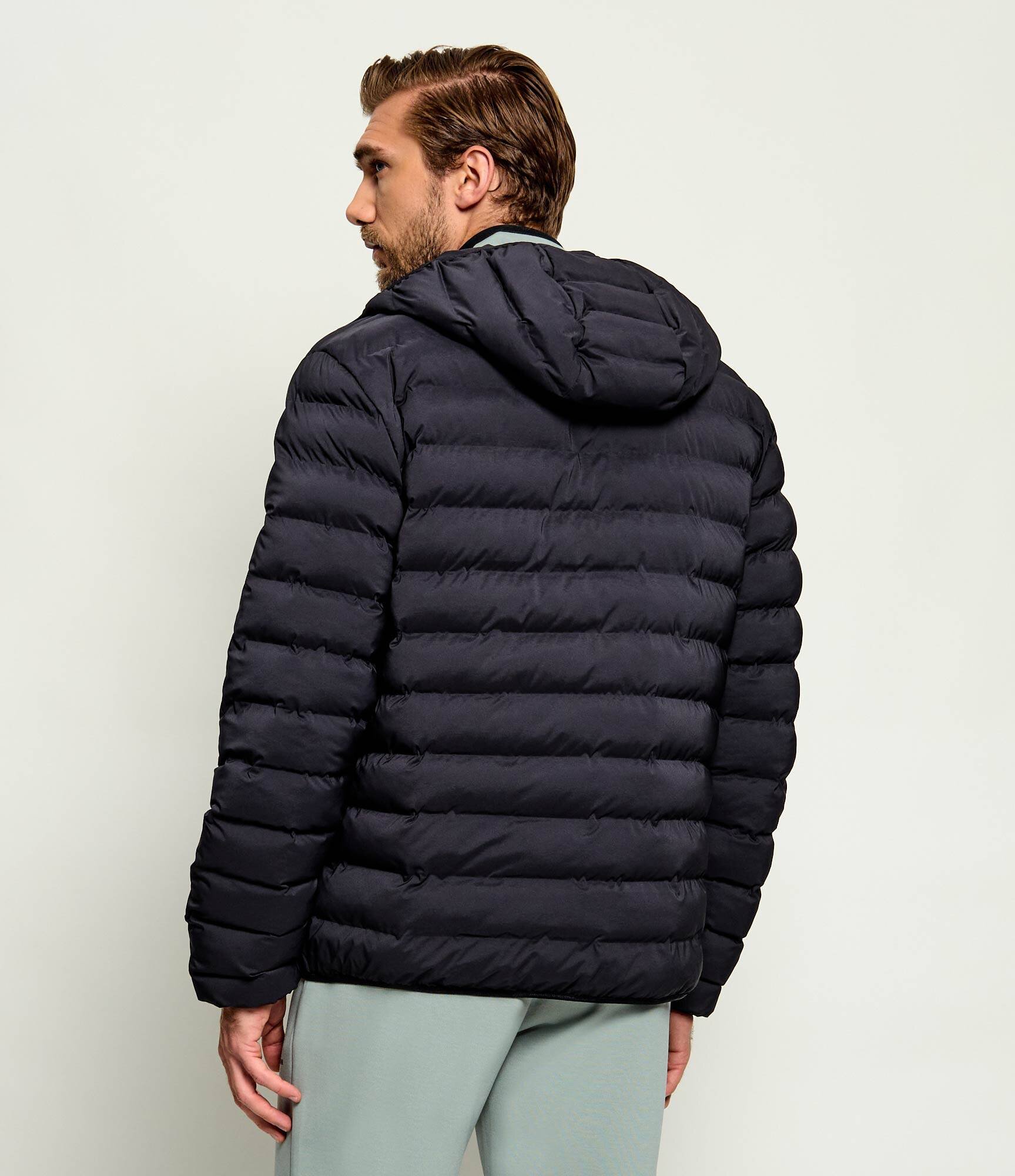 EA7 Geacă | Regular Fit