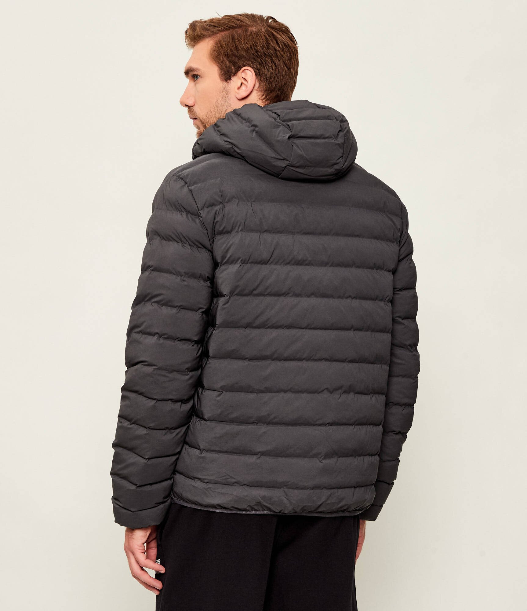 EA7 Geacă | regular fit