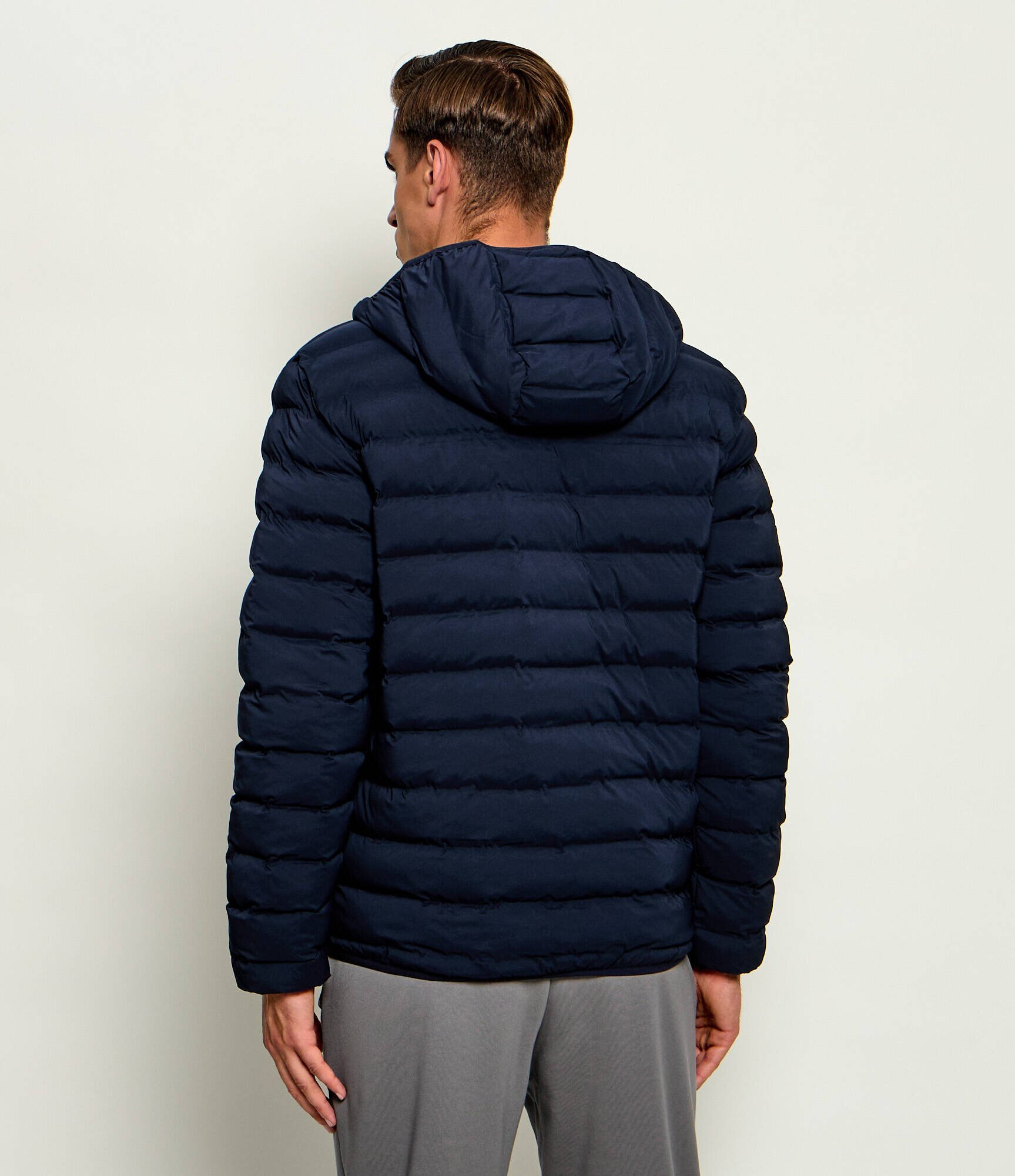 EA7 Geacă | regular fit