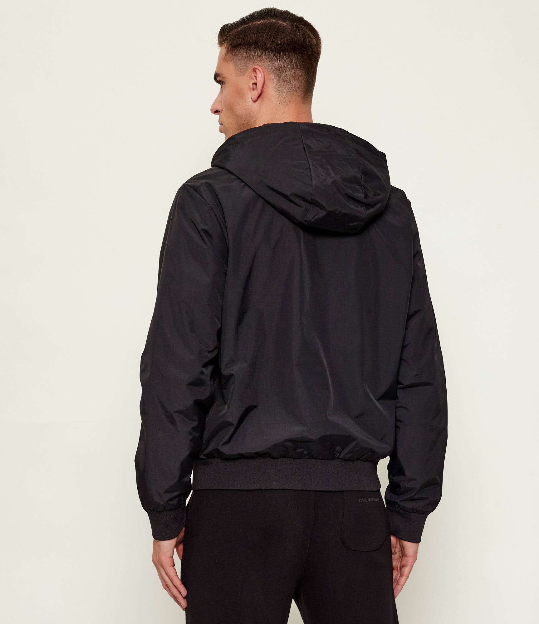 EA7 Geacă | Regular Fit