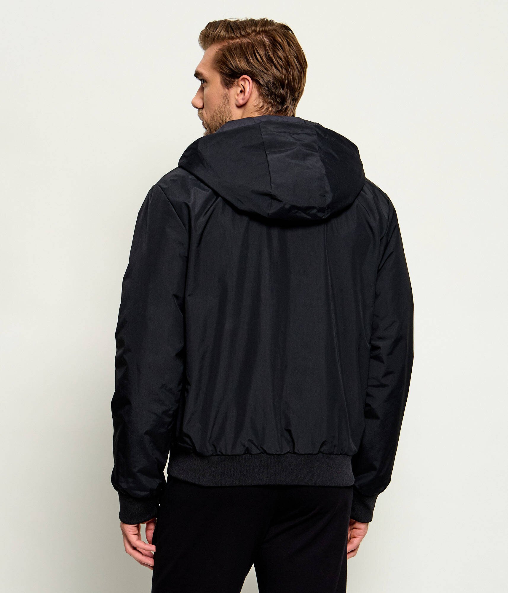 EA7 Geacă | Regular Fit
