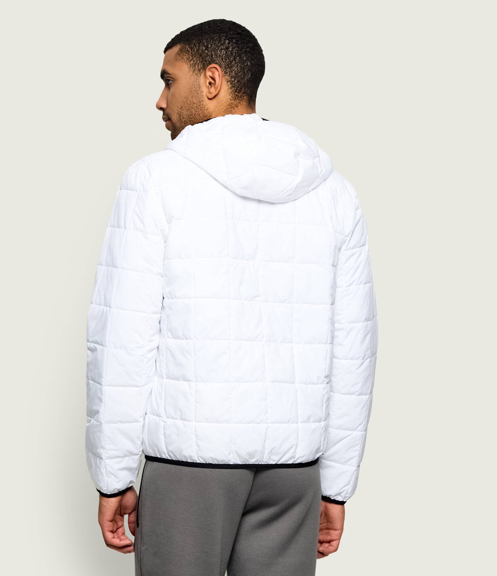 EA7 Geacă | regular fit
