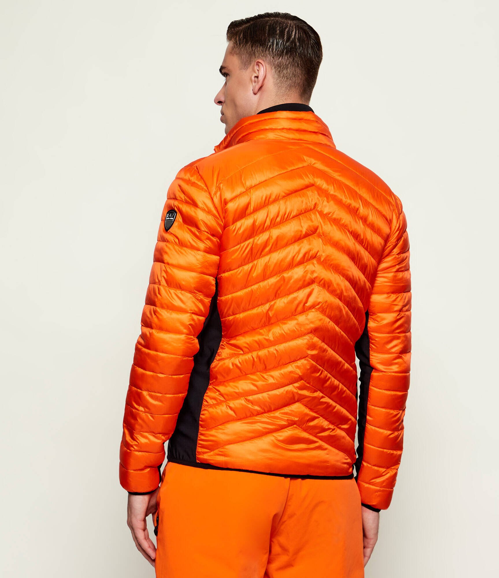 EA7 Geacă | regular fit