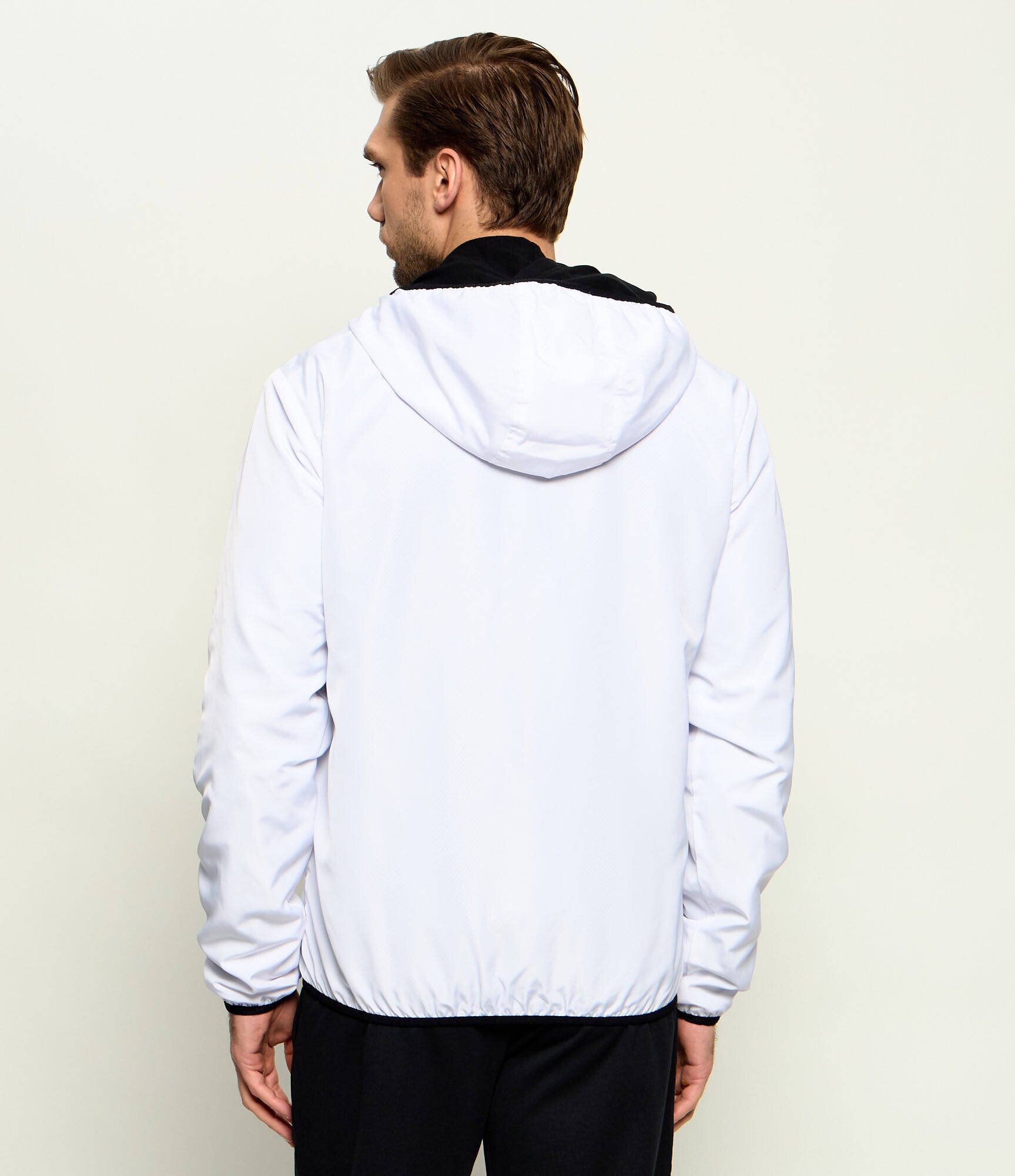 EA7 Geacă | Regular Fit