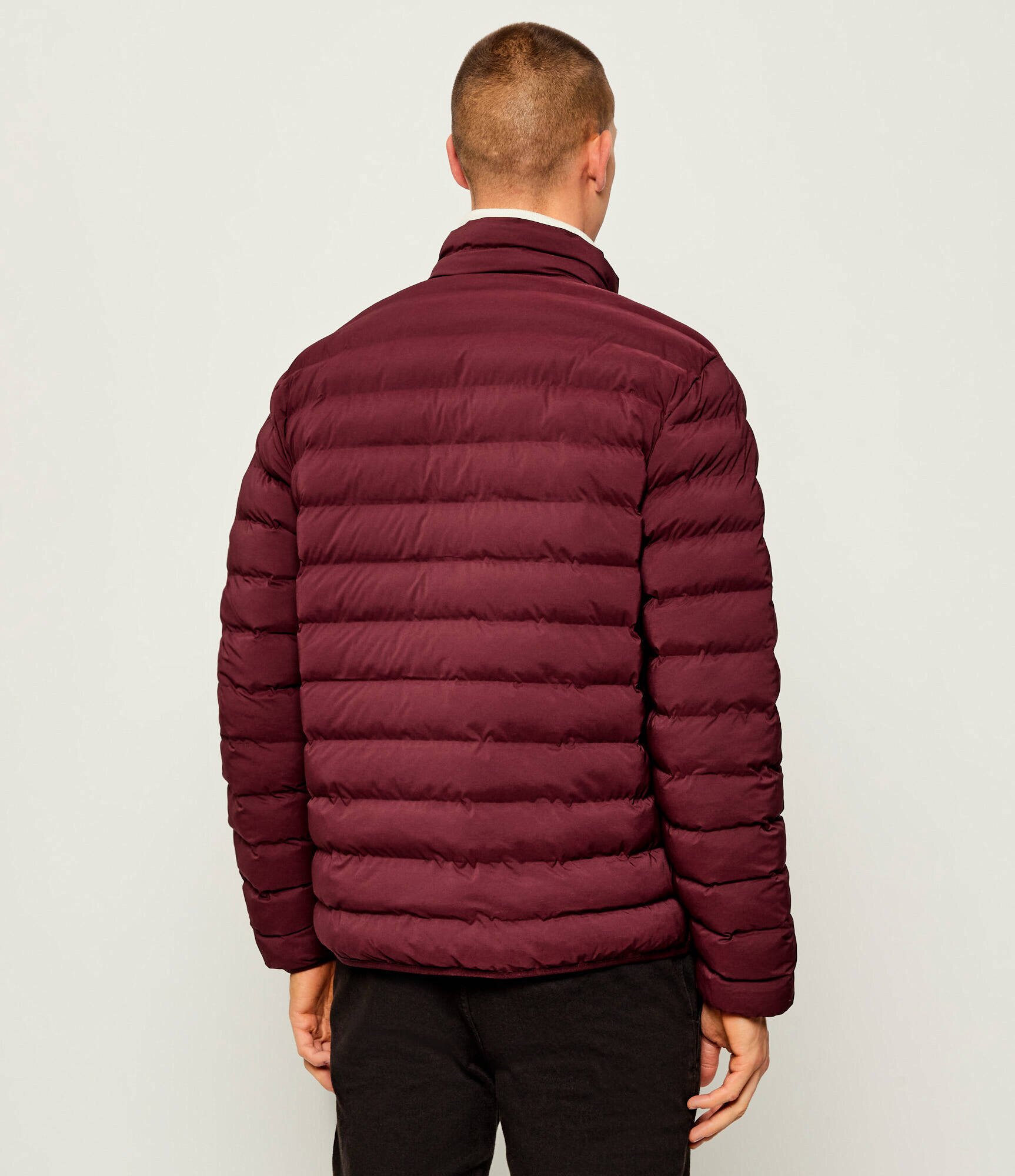 EA7 Geacă | regular fit