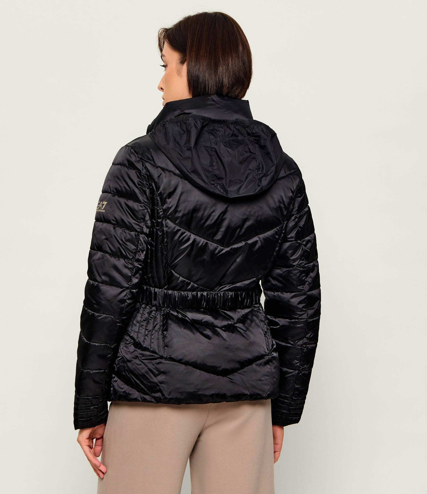 EA7 Geacă | regular fit