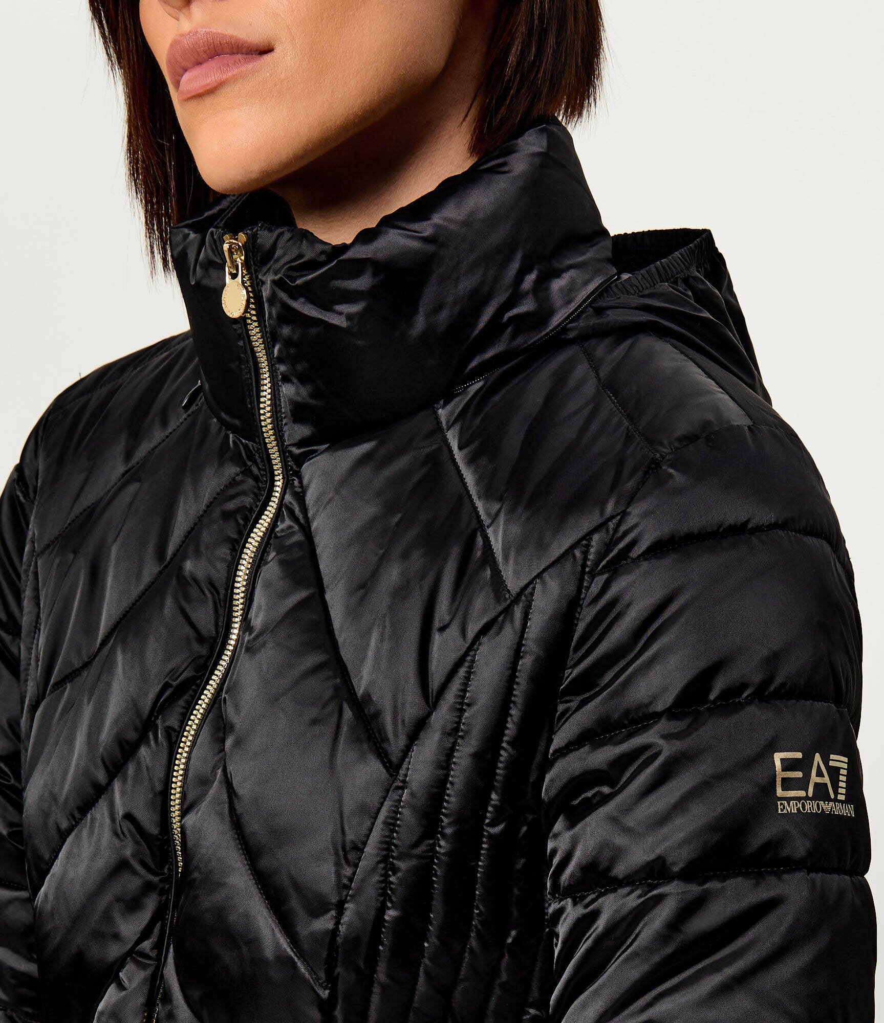 EA7 Geacă | regular fit