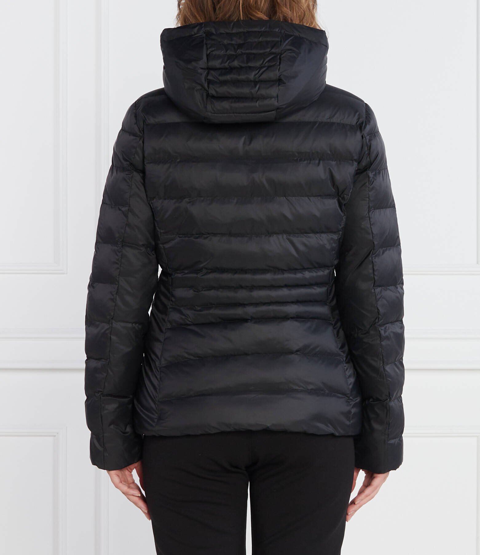 EA7 Geacă | Regular Fit