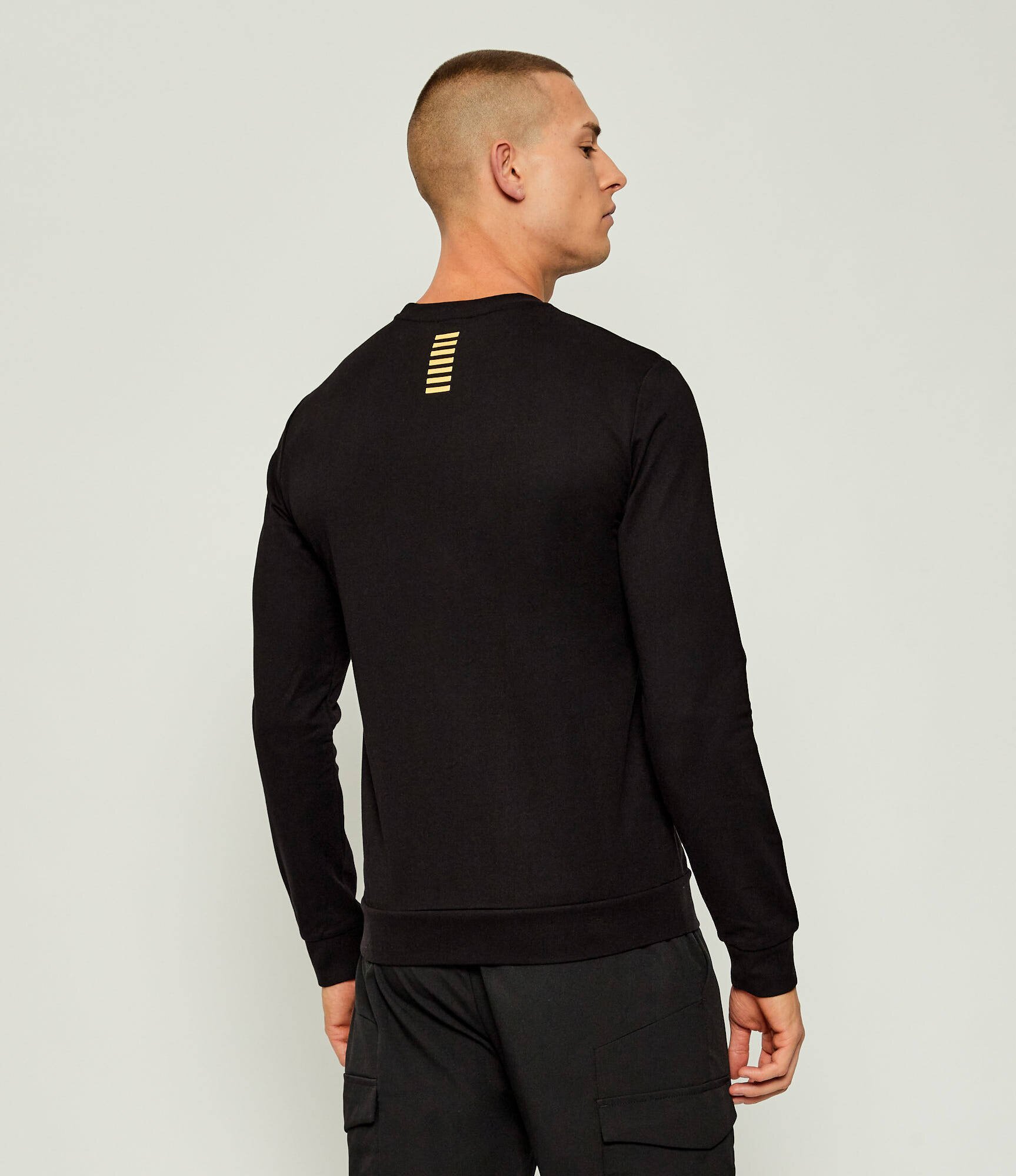 EA7 Hanorac | regular fit