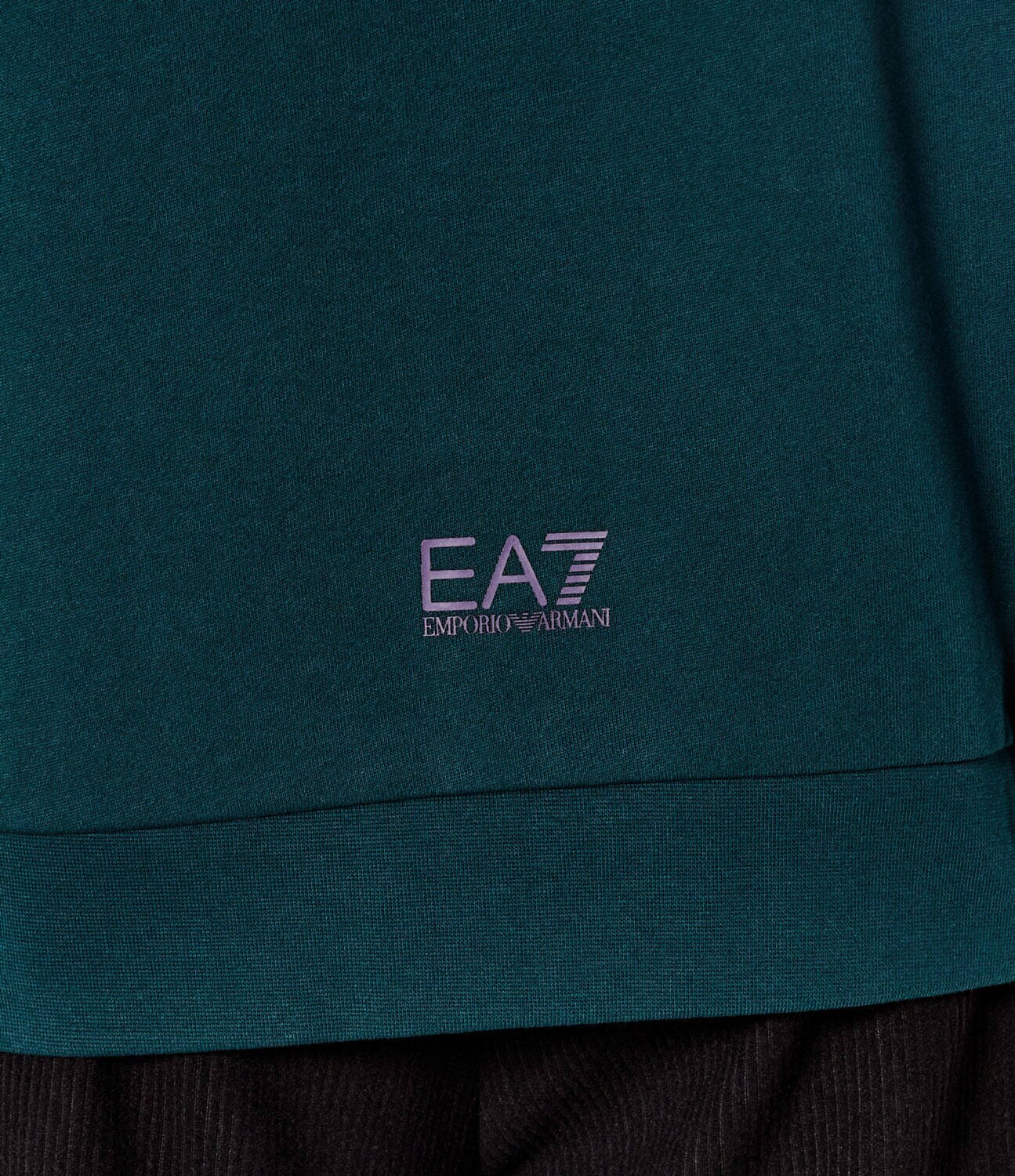 EA7 Hanorac | Regular Fit