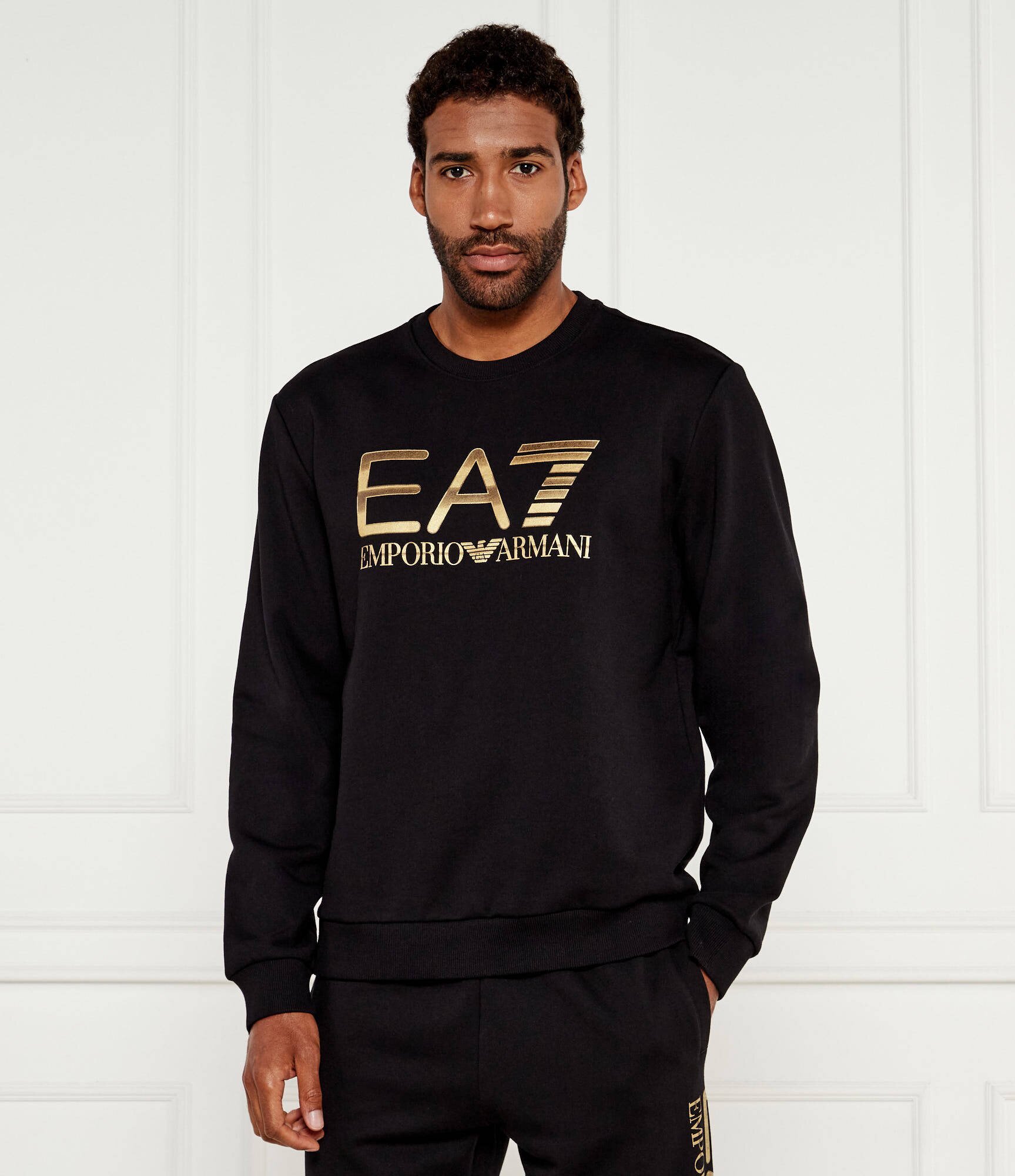 EA7 Hanorac | Regular Fit