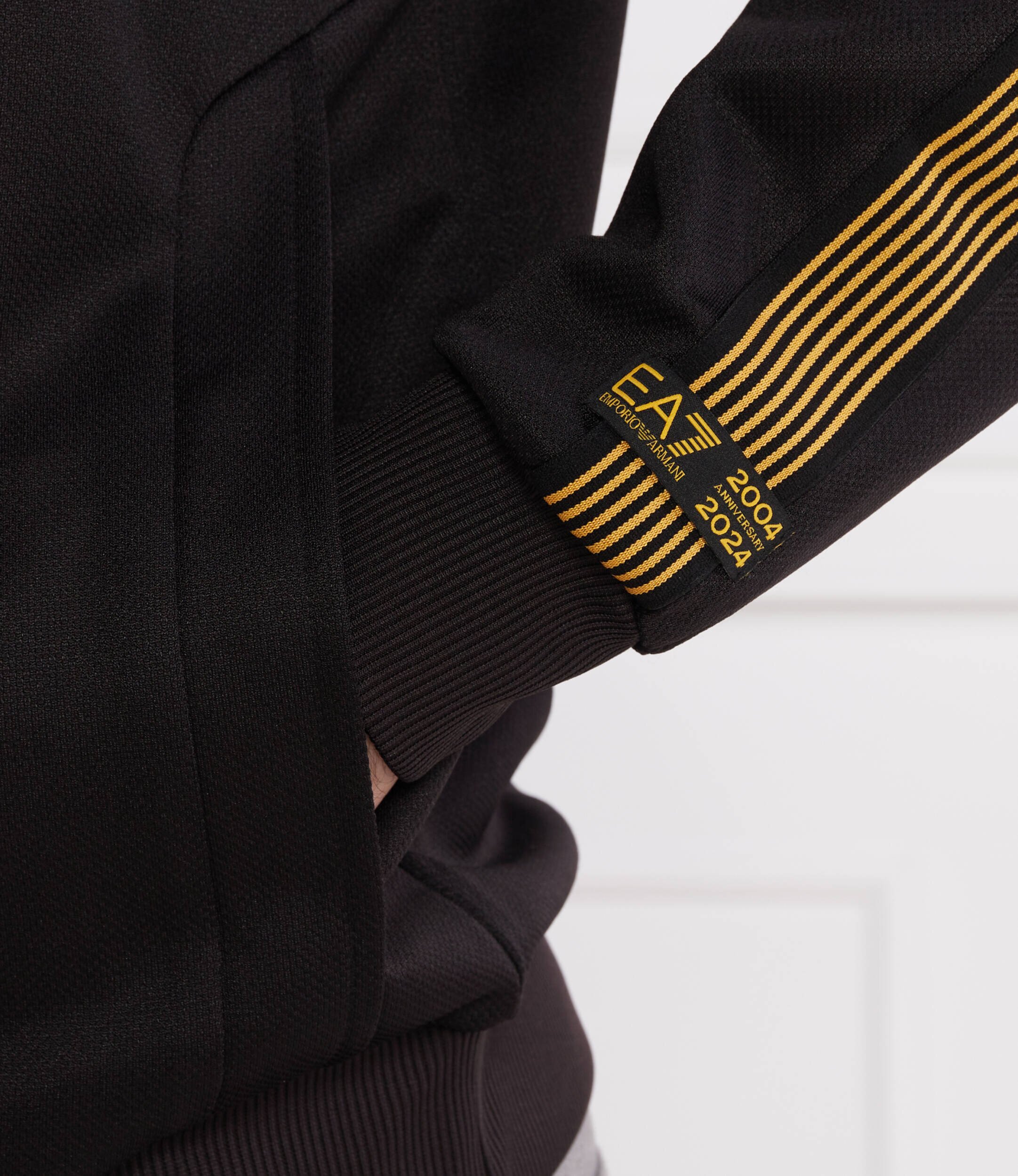 EA7 Hanorac | Regular Fit