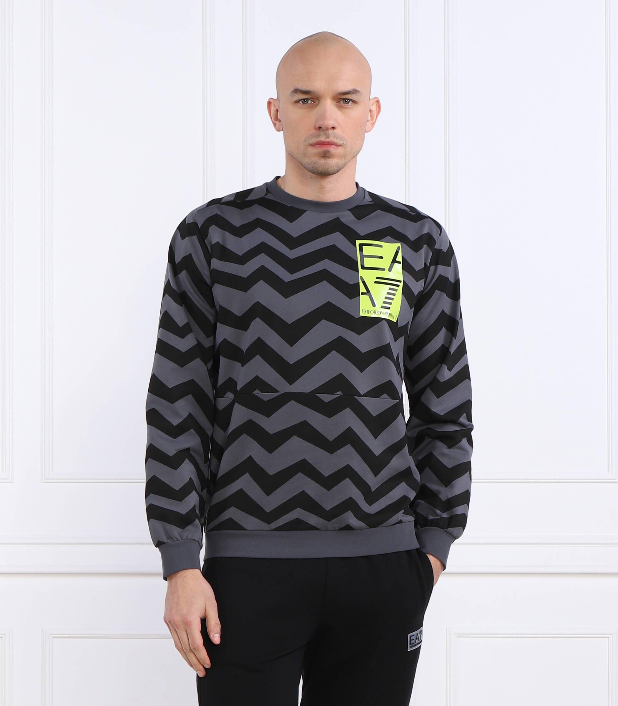 EA7 Hanorac | Regular Fit