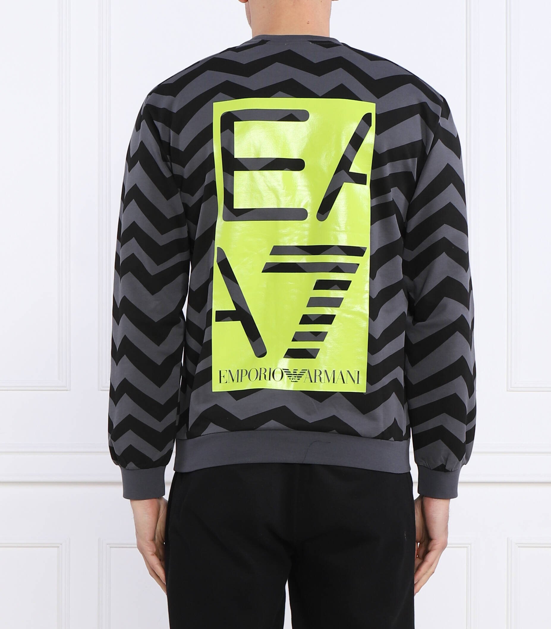 EA7 Hanorac | Regular Fit