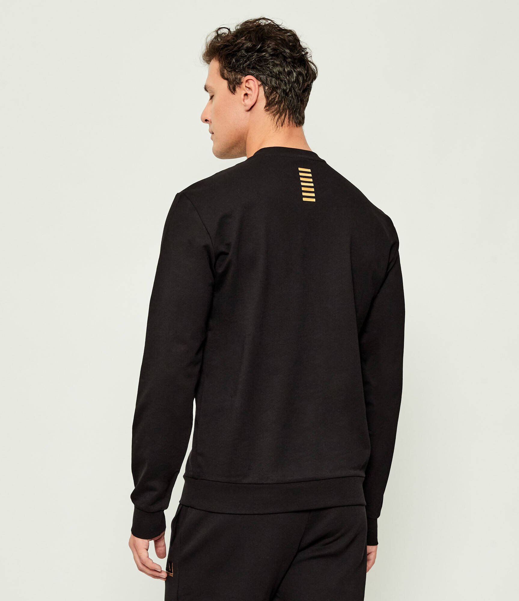 EA7 Hanorac | Regular Fit