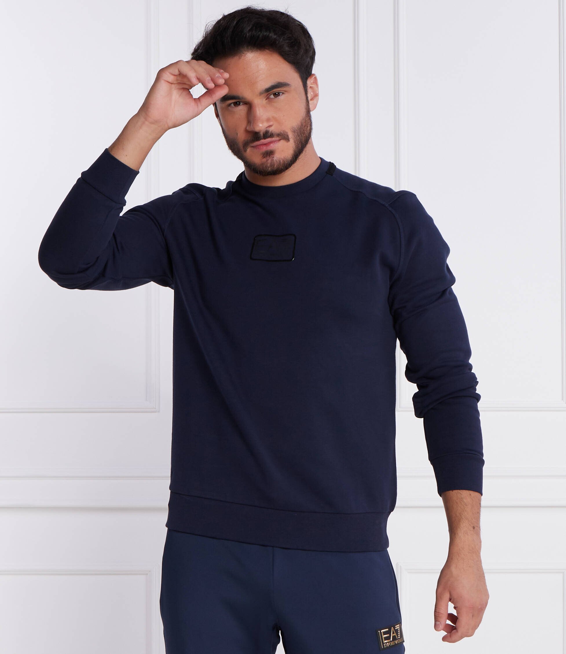 EA7 Hanorac | Regular Fit