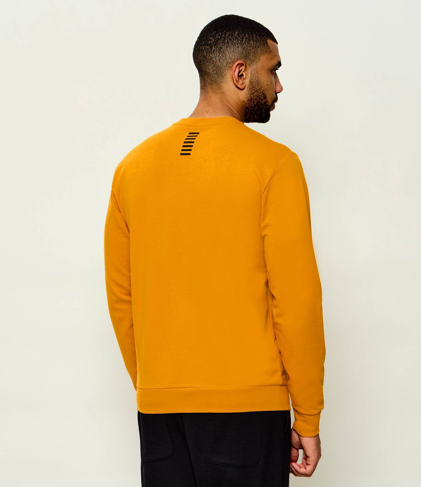 EA7 Hanorac | regular fit