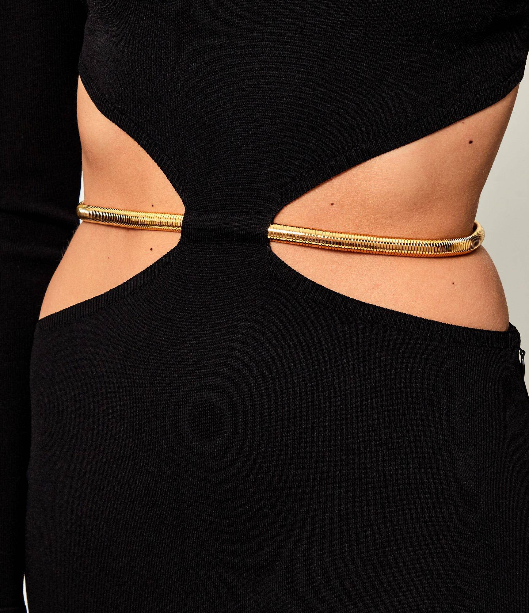 Elisabetta Franchi Rochie