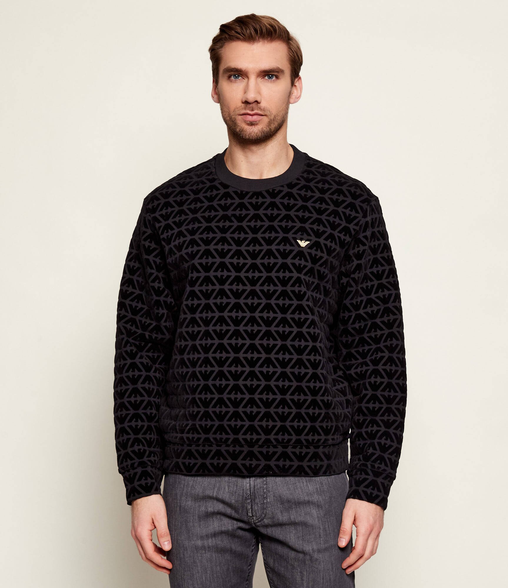 Emporio Armani Hanorac | regular fit