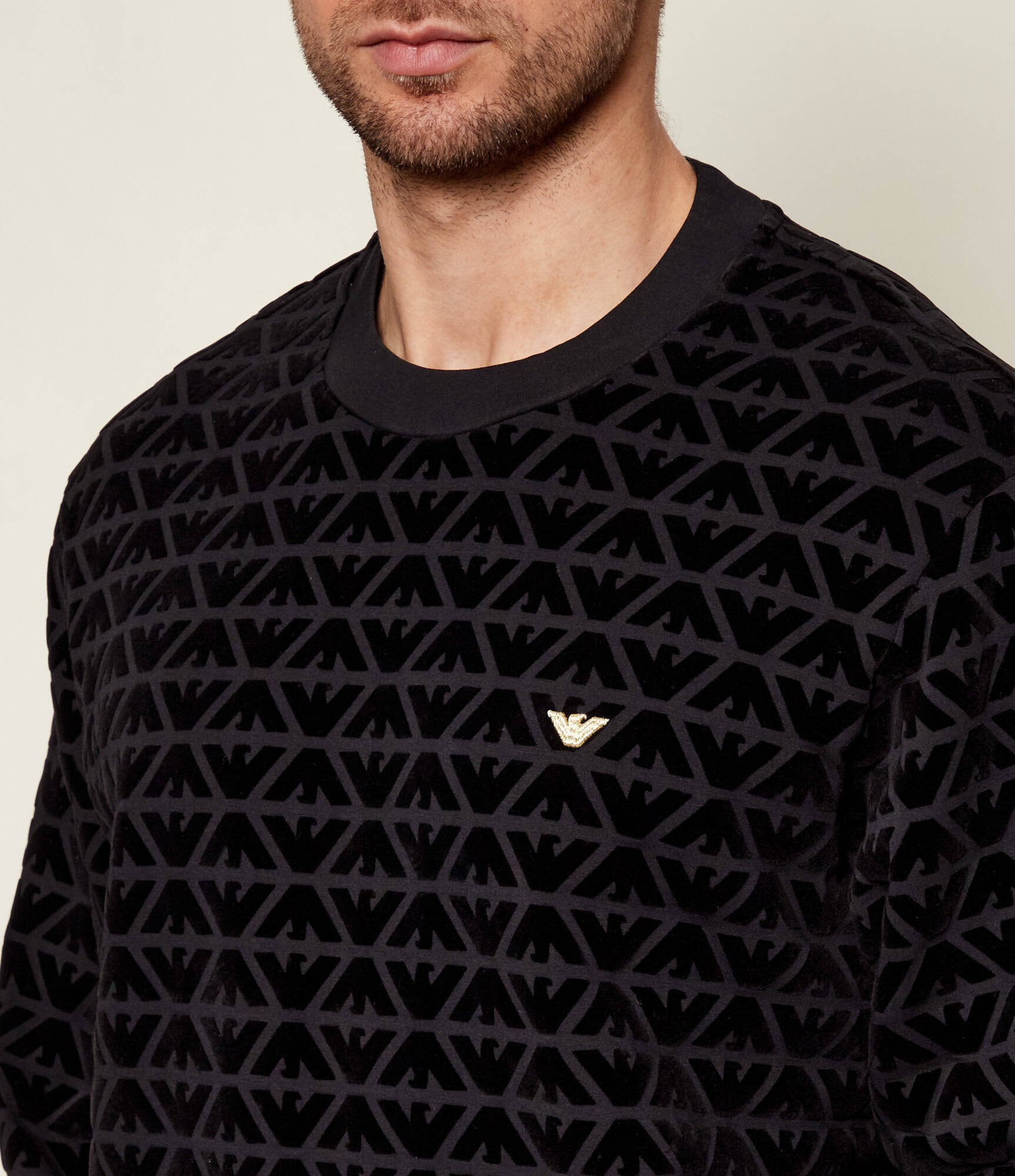 Emporio Armani Hanorac | regular fit