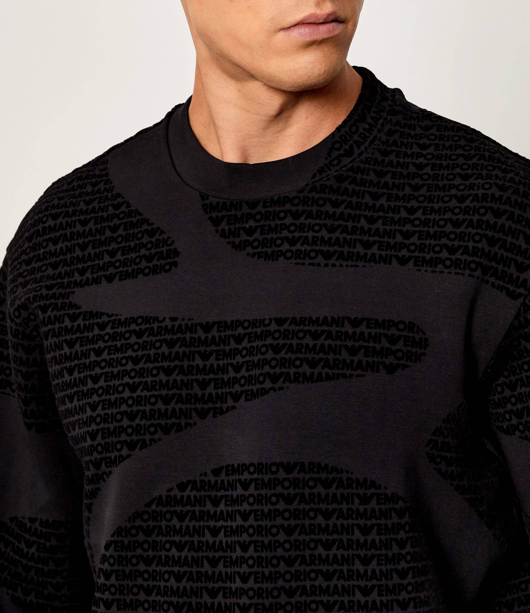 Emporio Armani Hanorac | regular fit