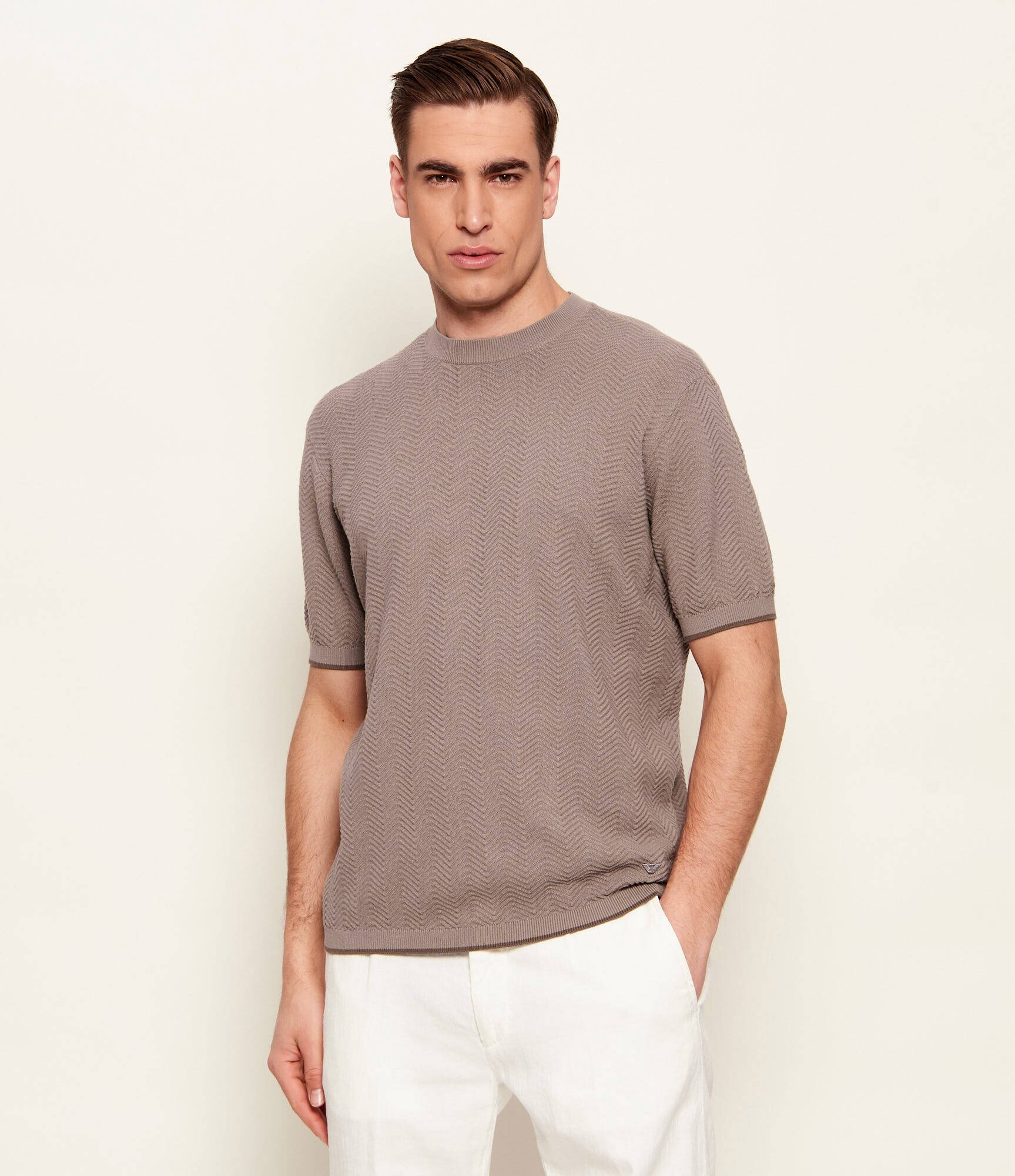 Emporio Armani Pulover | regular fit
